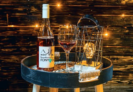 Mini Me Vendégház13