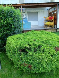 Zampirolli Apartman8