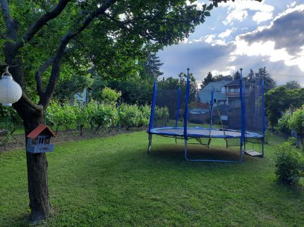 Karos Vintage House103