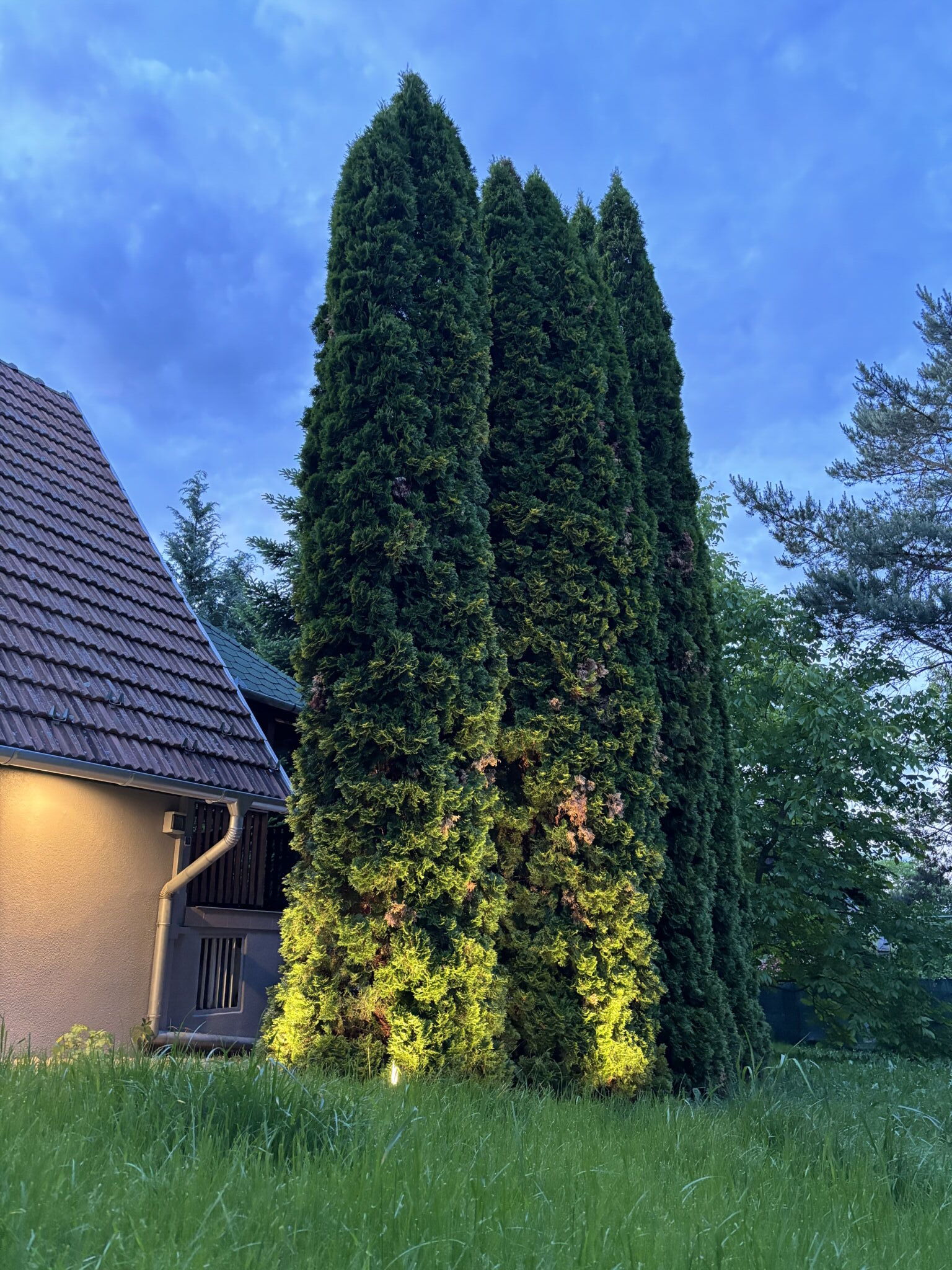 Pillanat Vendégház – Bánk fotó 6