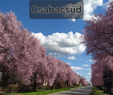 Szódás Háza Vendégház8