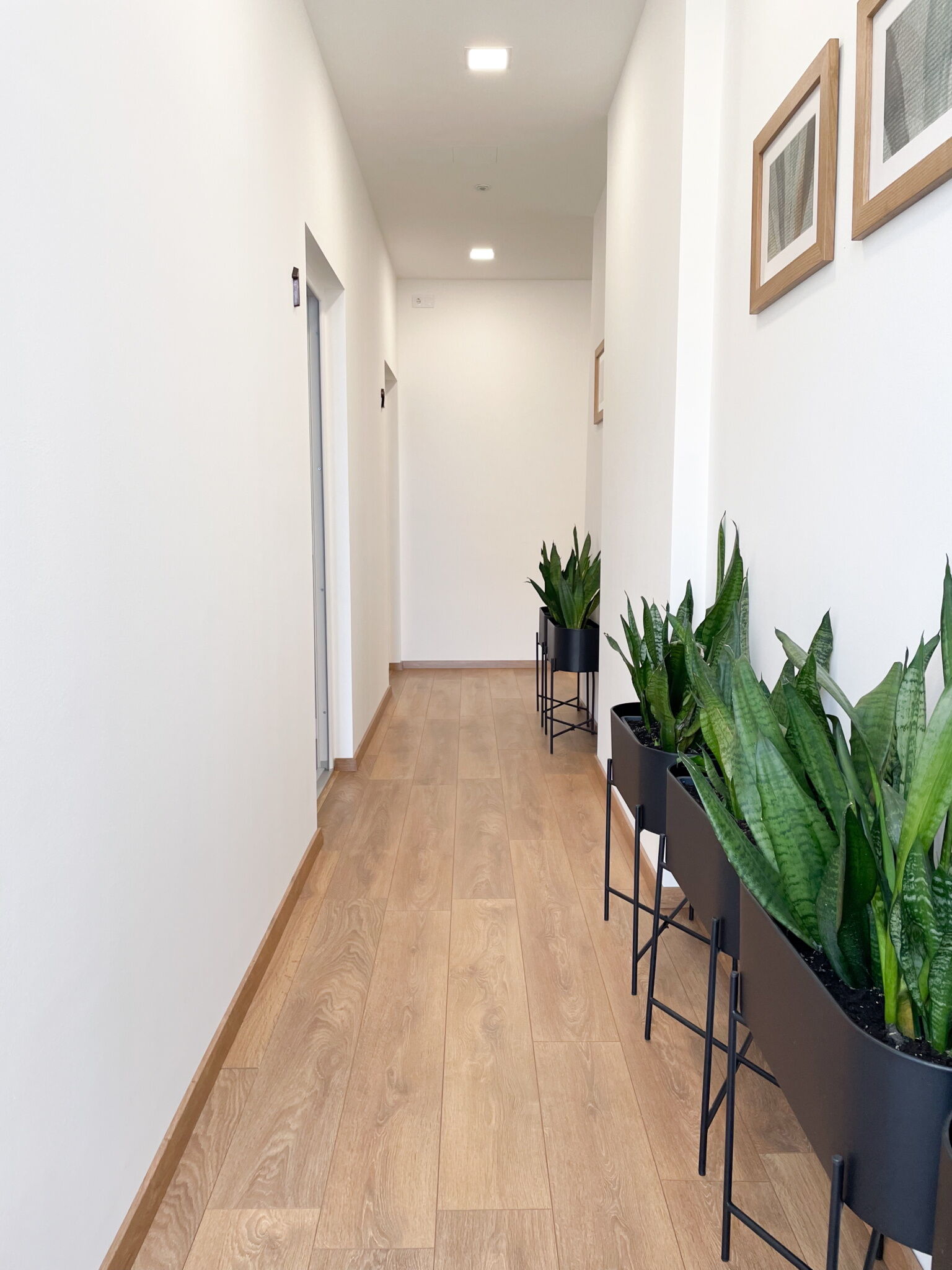 Botaniq Rooms Apartman – Gyula fotó 11