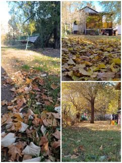 Rigó Nyaralóház76