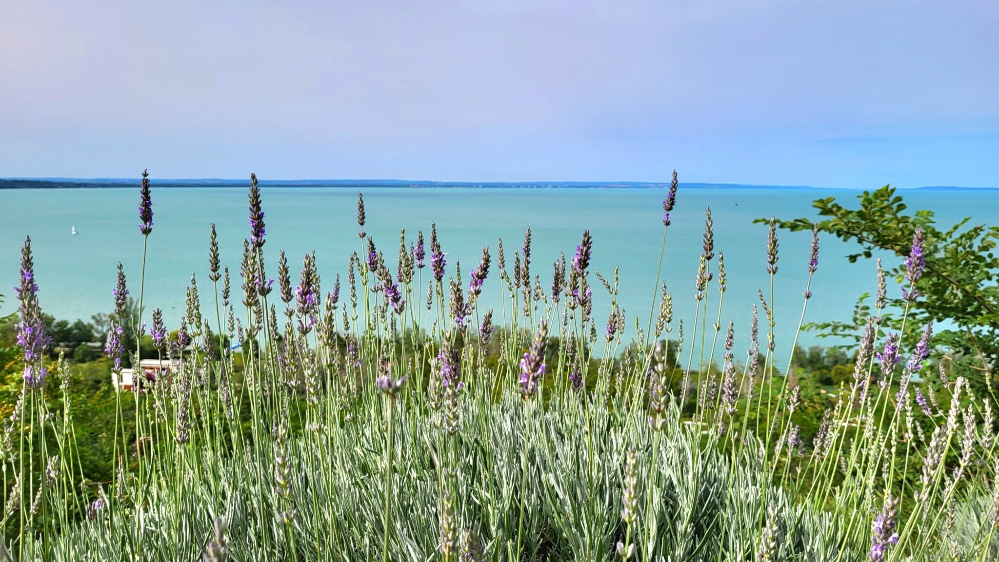 Fenyves Villa – Balatonakarattya fotó 3