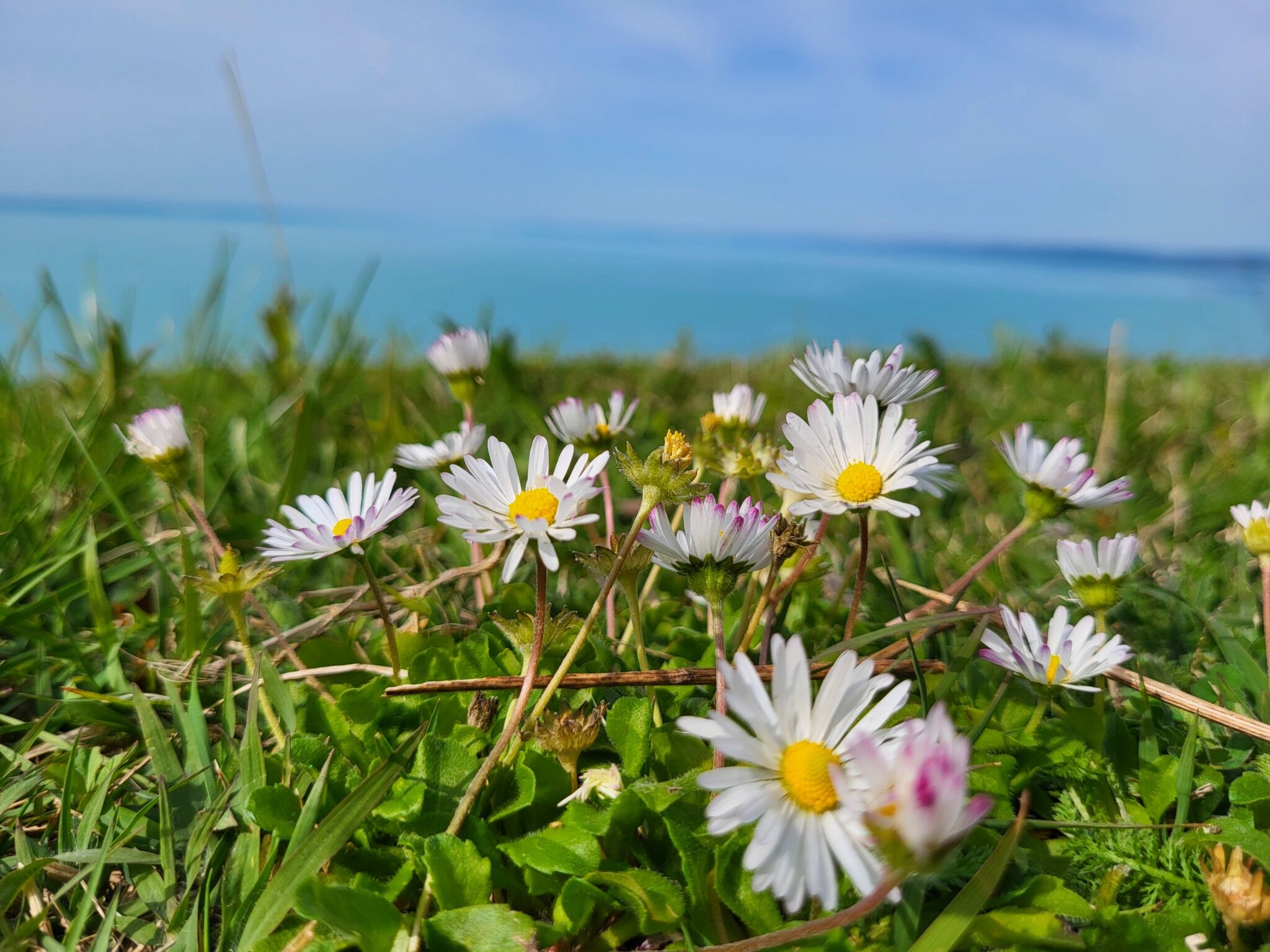 Fenyves Villa – Balatonakarattya fotó 5