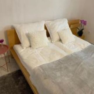 Boni Apartman8