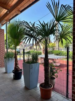 Pipacs Panír & Grill Garden Vendégház51