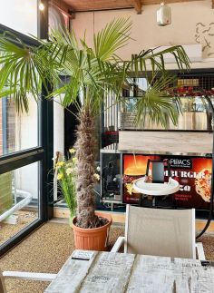 Pipacs Panír & Grill Garden Vendégház55