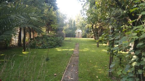 Subasa Green Garden Vendéház Szeged9
