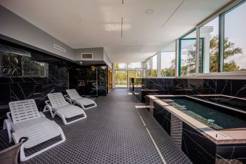 Villa Bauhaus Wellness Apartman 1027