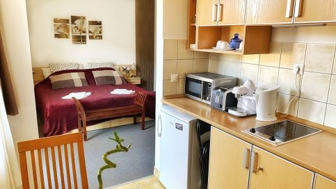 Kála Wellness Apartman4