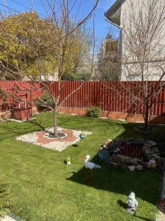 Norci-Viola Apartman2