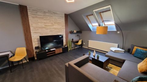 Mens' World Apartman25