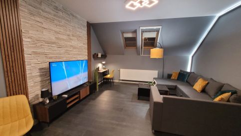 Mens' World Apartman7