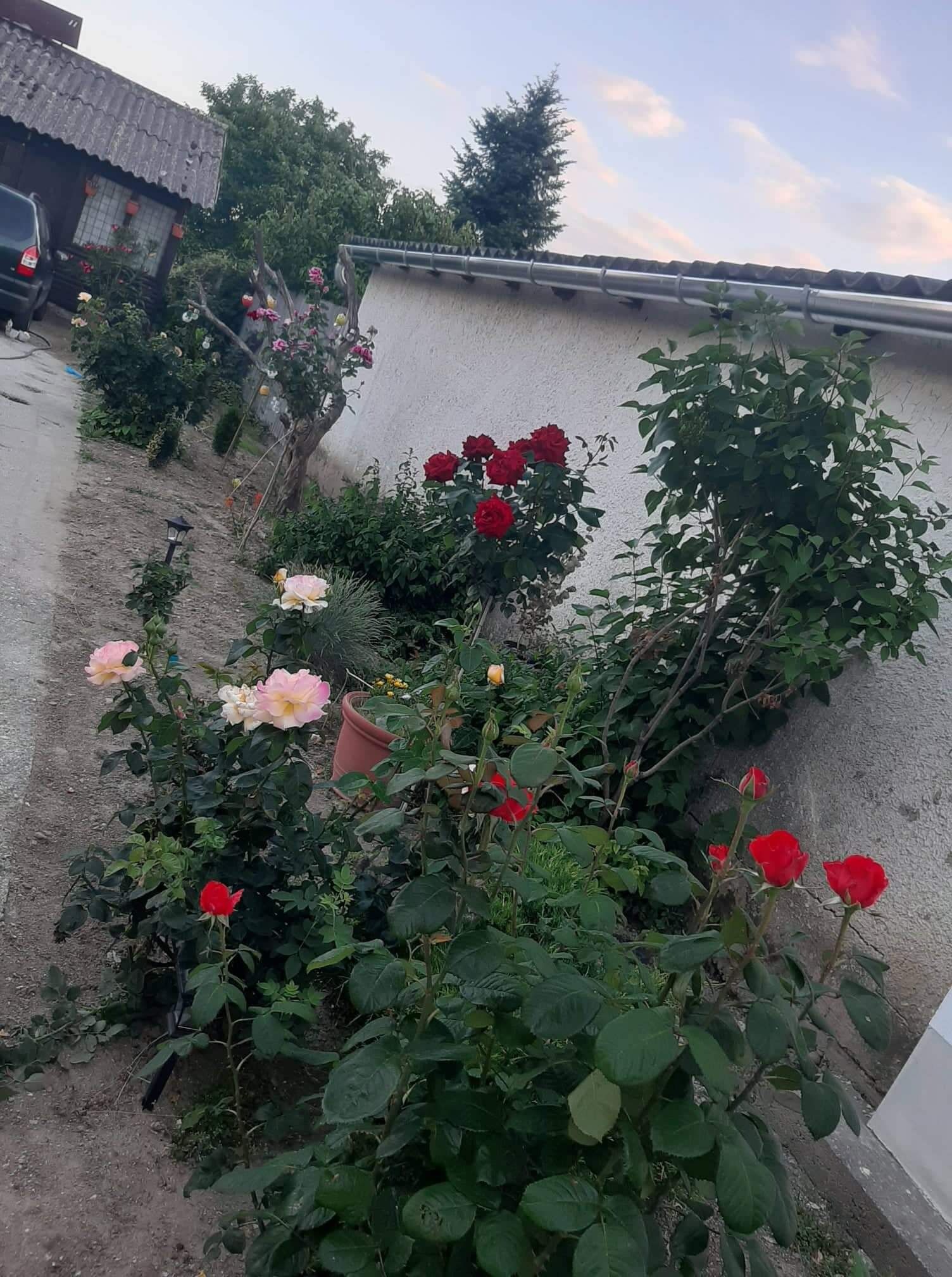 Judit Apartman – Tolcsva fotó 4