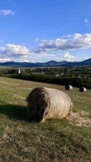 Pipacs és Tulipán Vendégház10