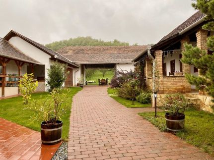 Pipacs és Tulipán Vendégház26