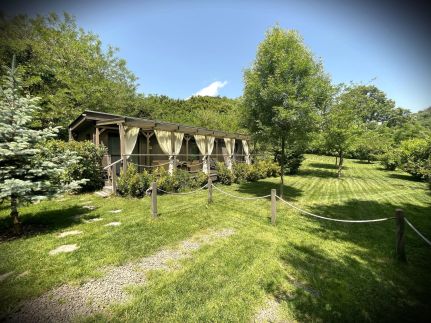 Forest House Vendégházak13