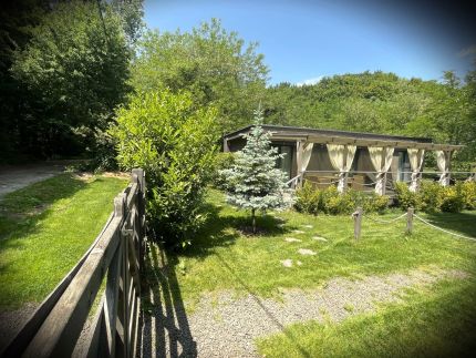 Forest House Vendégházak15