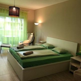 Tóparti Wellness Apartman Delux1