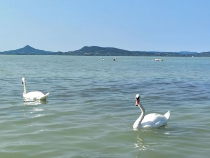 Beachfront Villa Balaton12