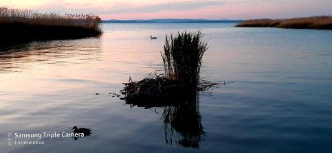 FŐNIX Vendégház Siófok13