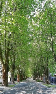 FŐNIX Vendégház Siófok14