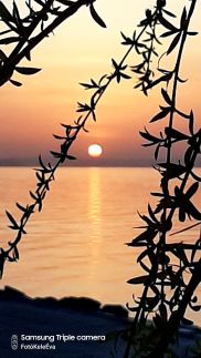 FŐNIX Vendégház Siófok25