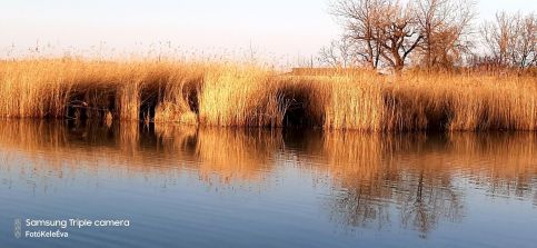 FŐNIX Vendégház Siófok34