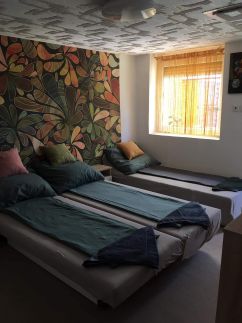 Fekete Gekkó Apartman13