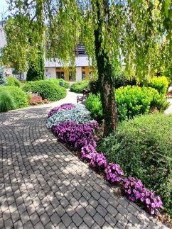 Sziszi Apartman8