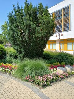 Sziszi Apartman22