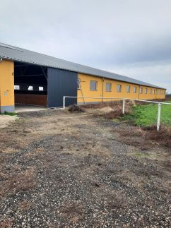Torony Lovarda Magánszállás12