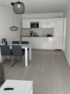 Silver 203 Apartman6