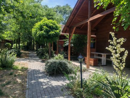 Dream Horse Apartman10