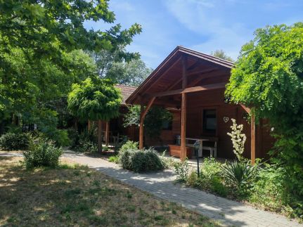 Dream Horse Apartman11