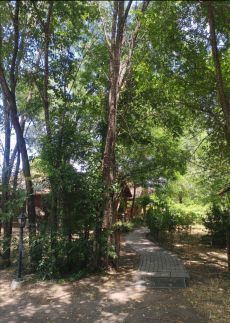 Dream Horse Apartman14
