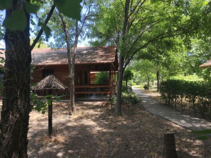 Dream Horse Apartman15