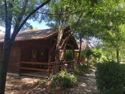 Dream Horse Apartman16
