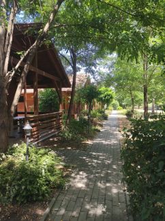 Dream Horse Apartman19