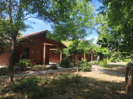 Dream Horse Apartman20