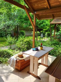 Dream Horse Apartman21