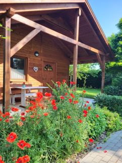 Dream Horse Apartman24
