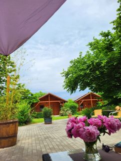 Dream Horse Apartman27