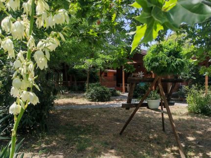 Dream Horse Apartman7