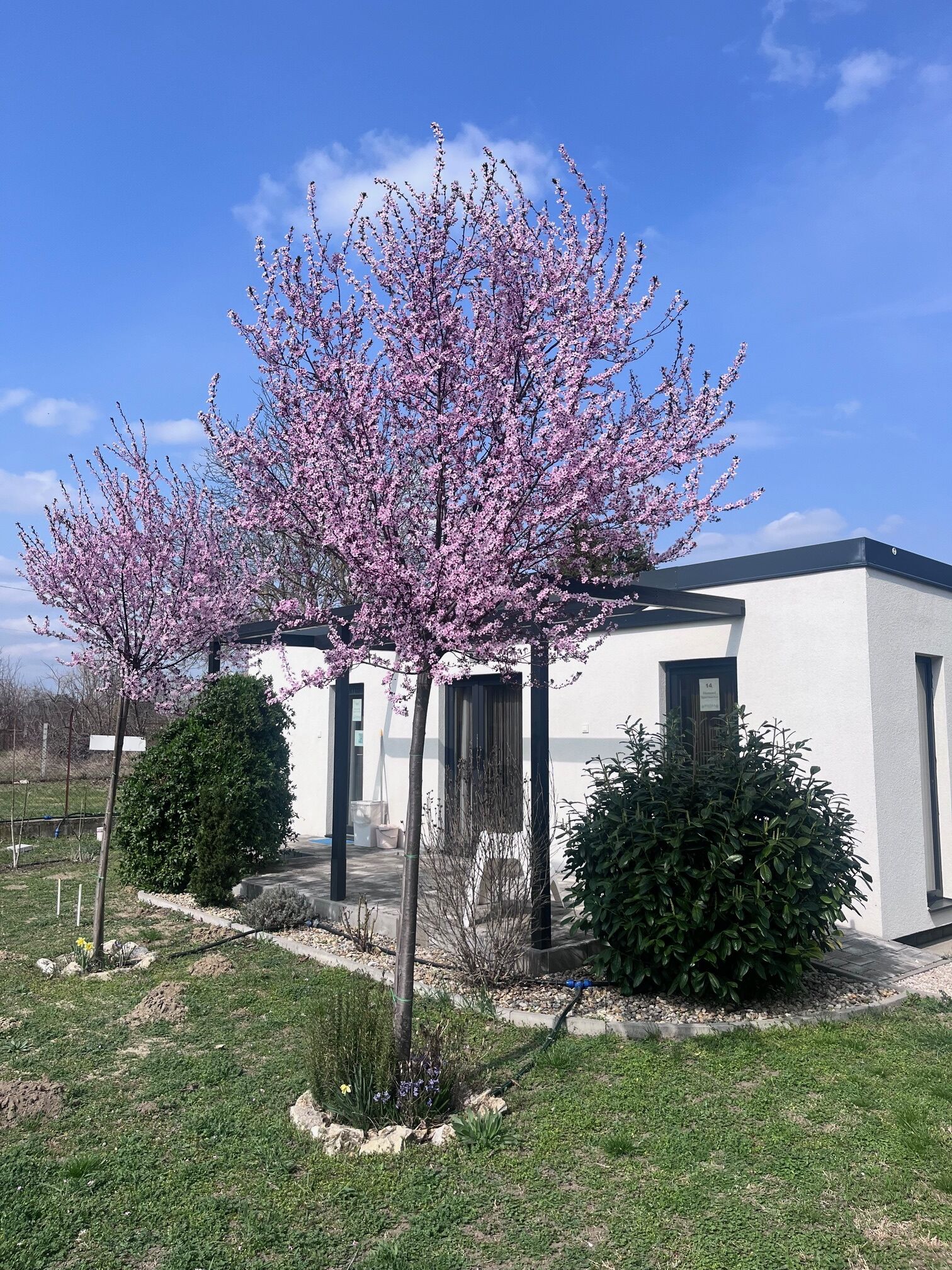 Mandula Apartmanház – Cegléd fotó 20