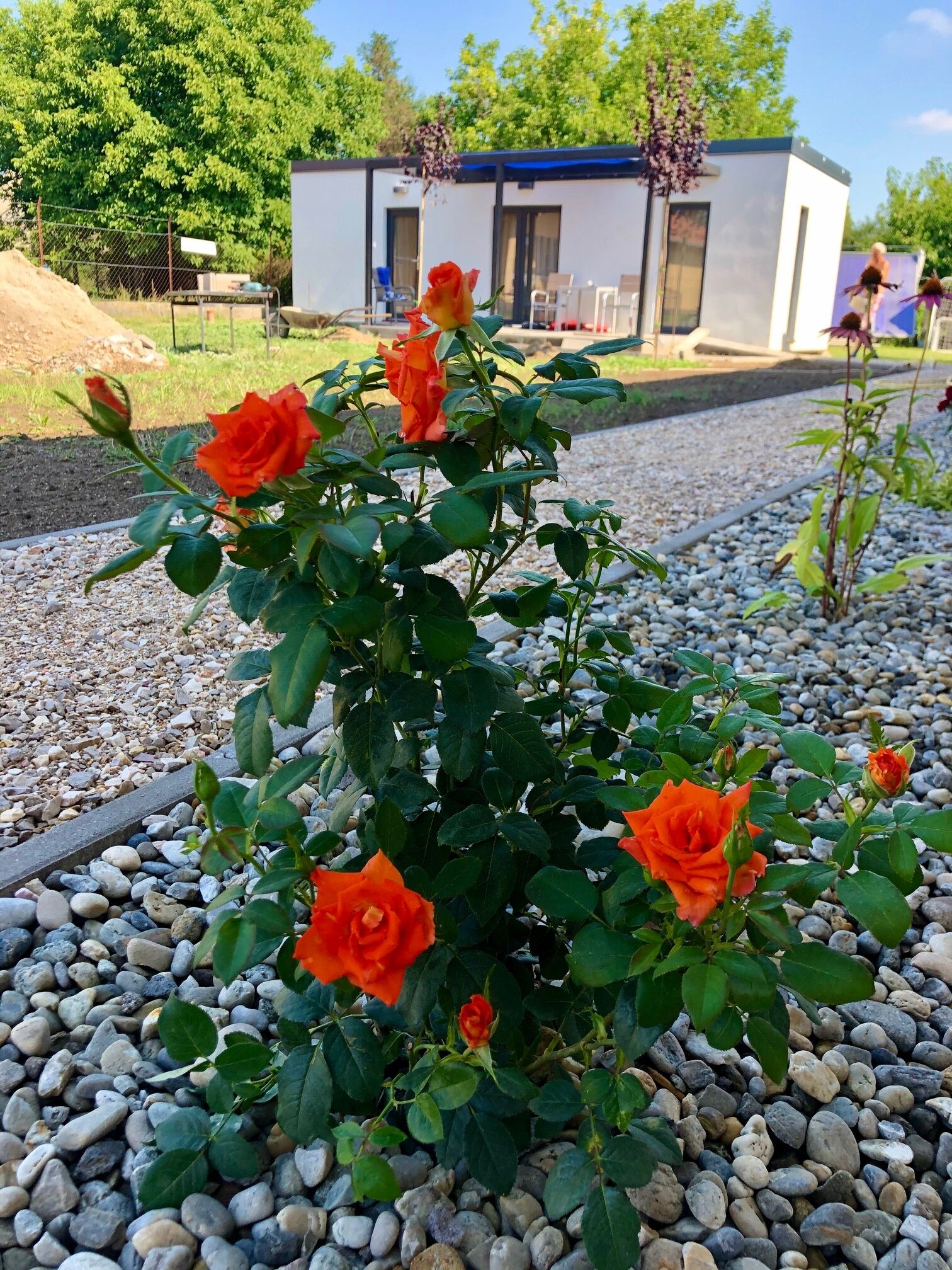 Mandula Apartmanház – Cegléd fotó 2