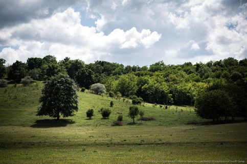 Dharma Mentett Állatok Kertje Bungalók & Farmping11