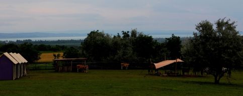 Dharma Mentett Állatok Kertje Bungalók & Farmping12