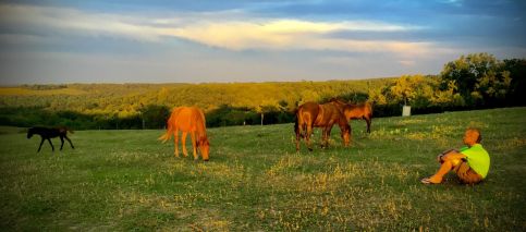 Dharma Mentett Állatok Kertje Bungalók & Farmping2